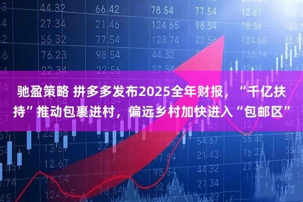 驰盈策略 拼多多发布2025全年财报，“千亿扶持”推动包裹进村，偏远乡村加快进入“包邮区”