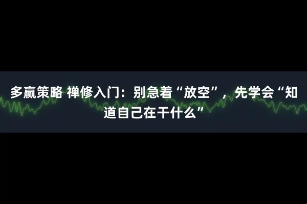 多赢策略 禅修入门：别急着“放空”，先学会“知道自己在干什么”