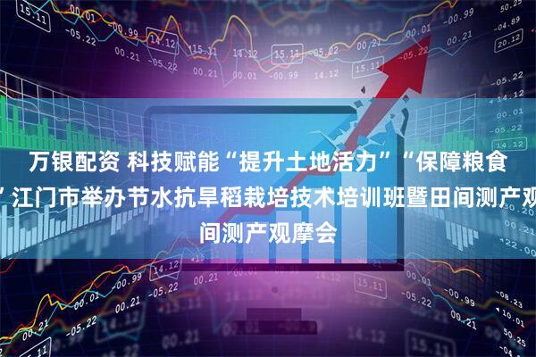万银配资 科技赋能“提升土地活力”“保障粮食安全”江门市举办节水抗旱稻栽培技术培训班暨田间测产观摩会